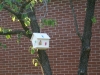 fields_chapel_vbs_2011_173